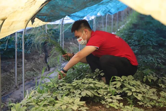 帮助村民干农活